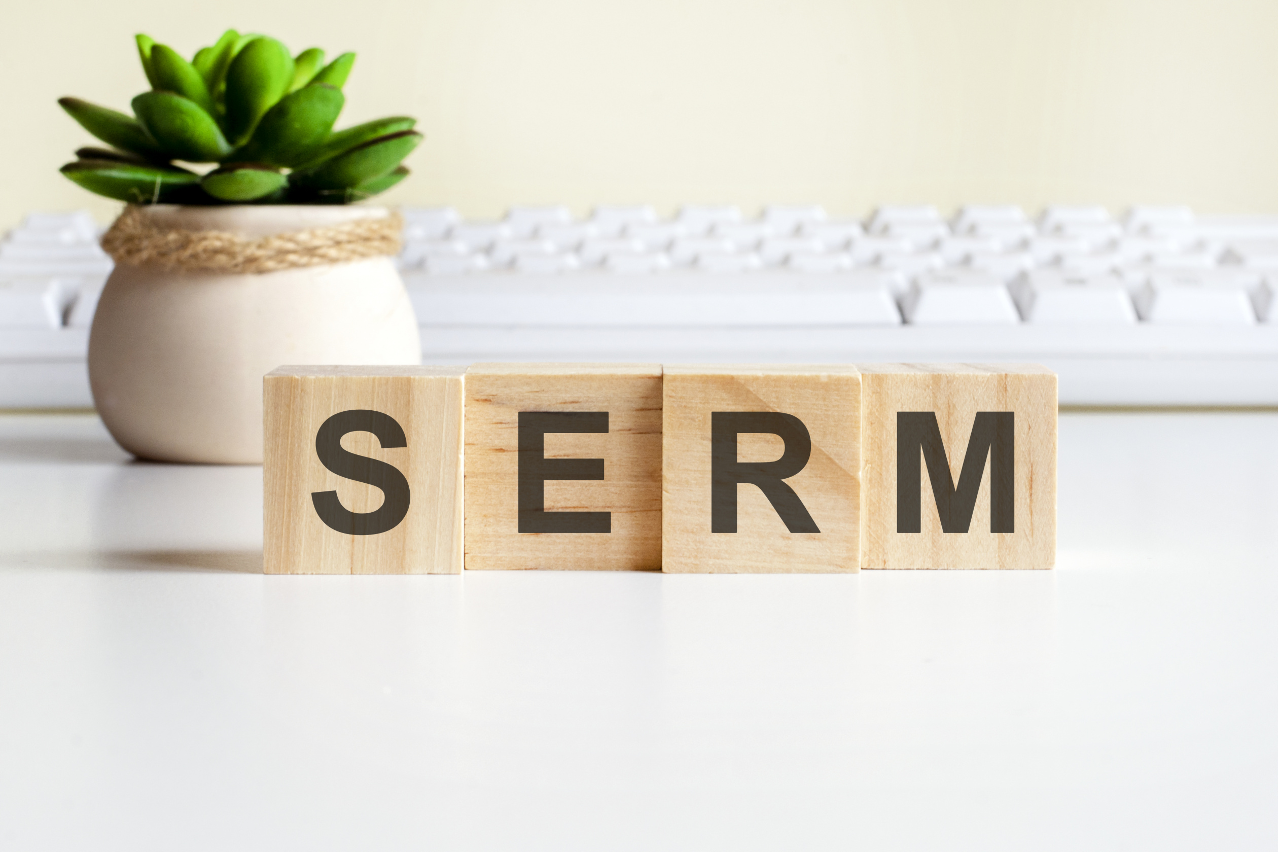 serm-word-made-with-wooden-blocks-front-view-concepts-green-plant-flower-vase-white-keyboard-background.jpg